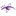 Visual Gravity